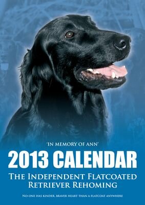 2013 dog calendar