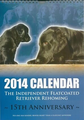 2014 dog calendar